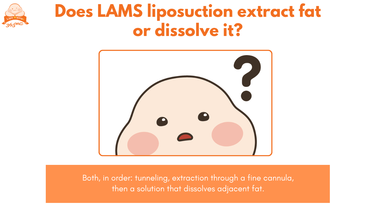 LAMS liposuction extracts fat first then dissolves adjacent fat