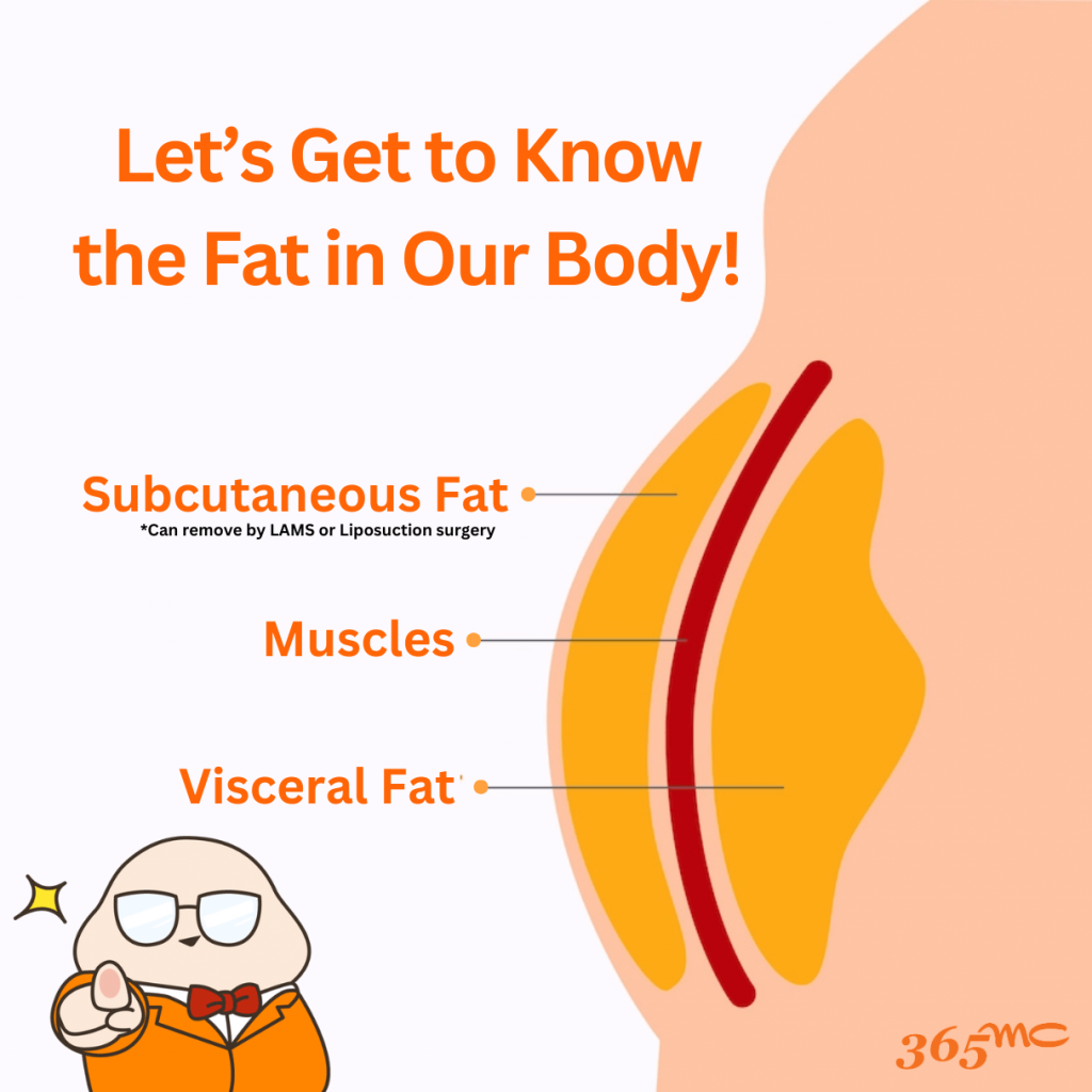 LAMS procedure educational information and patient care details